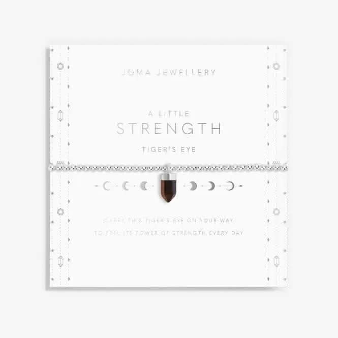 Affirmation Crystal Strength Tiger's Eye Silver 17.5cm Bracelet 6148