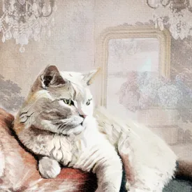 Marble Coasters - Lost & Found - Leisure Cat