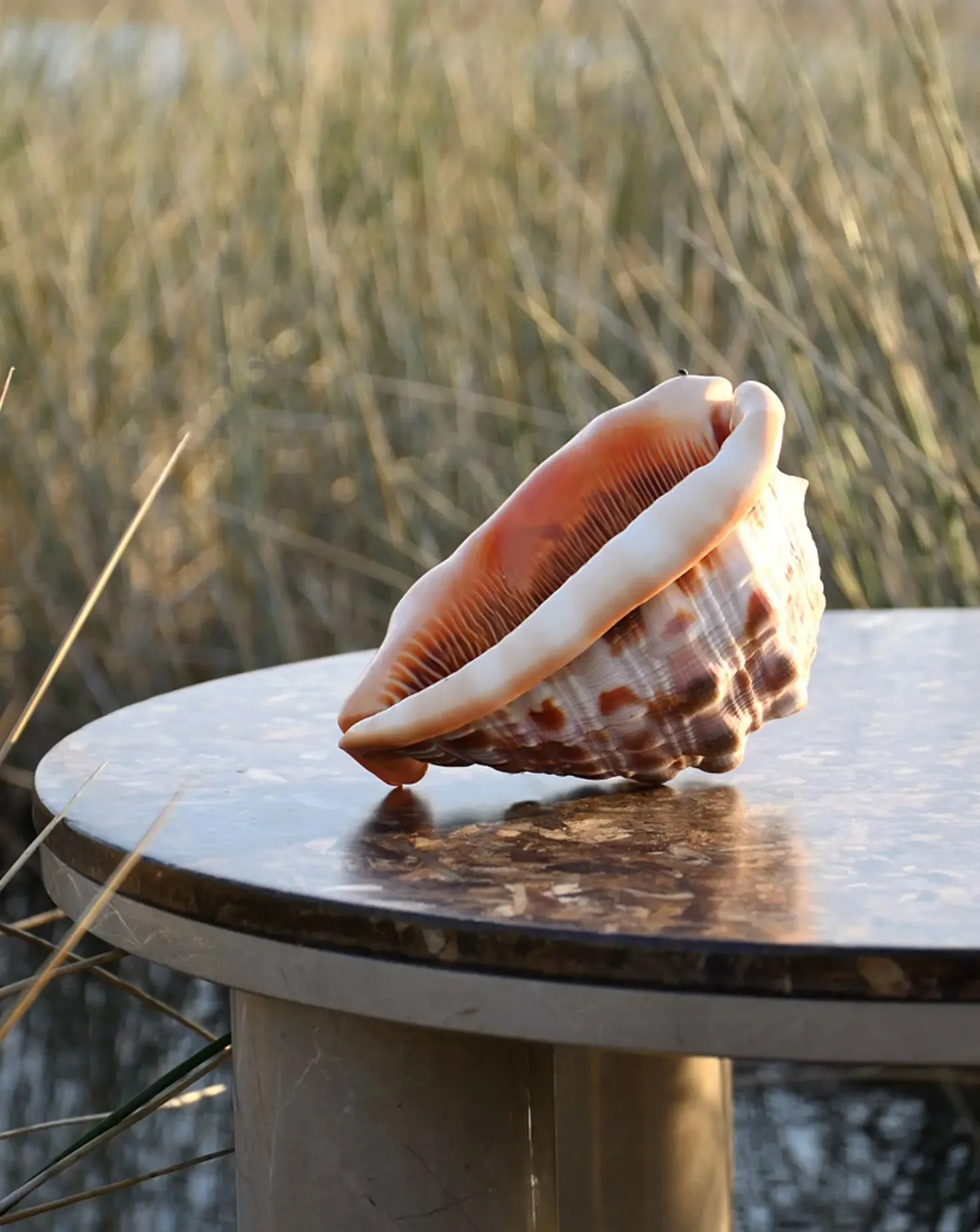 Tethys Side Table